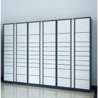 海康威视 XT-ZNKDG1T-24 智能储物保险柜 880*477*2090mm(单位：个)