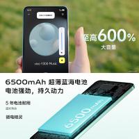 VIVO Y300 智能手机 12GB+512GB 星钻黑 (单位:台)