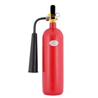 神龙 MT/BE2 新国标二氧化碳灭火器 2kg 红色（单位：个）