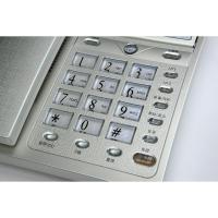 步步高 HCD007(6101)TSD 电话机 21.5cm(长)*16.5cm(宽） 流光银 (单位:部)