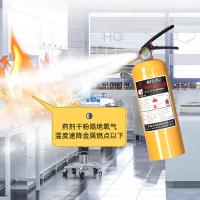 浙安广消 MFZ/D4 灭火器 4kg （单位:只）