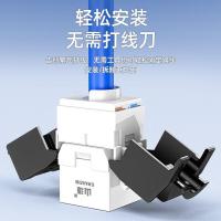 山泽（SAMZHE） WMD-006 六类非屏蔽免打模块 16.3*32mm  (单位：个) 黑白色