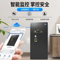 虎牌 100型 保险柜 100*45*50cm 黑色（单位：台）
