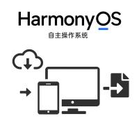 华为（HUAWEI） 擎云C3 平板电脑 10.4英寸 4GB+64GB （单位：台）曜石黑