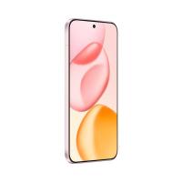 荣耀（HONOR） 400 Pro（DannyP-AN00B） 手机 12GB+512GB （单位：台） 流沙粉