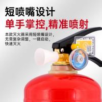 神龙 MF/ABCE8C 新国标干粉灭火器 8kg 红色（单位：个）