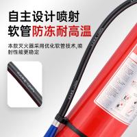 神龙 MF/ABCE5 新国标干粉灭火器 5kg 红色（单位：个）