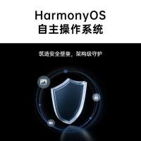 华为（HUAWEI） 擎云C5e（第2代） BZF5-W00 平板电脑 海思麒麟710A 6GB+128GB 鸿蒙系统3 11英寸（单位：台） 星云灰