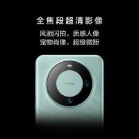 华为（HUAWEI） Mate 60（BRA-AL00） 智能手机 12GB+512GB （单位：台） 雅丹黑