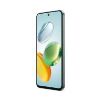 荣耀（HONOR） 手机 12GB+256GB 畅玩60Plus 6.77英寸 (单位:部) 仙踪绿