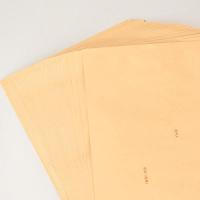 协采（XIECAI）9号牛皮纸信封 40张（单包）324mm*229mm（单位：包）